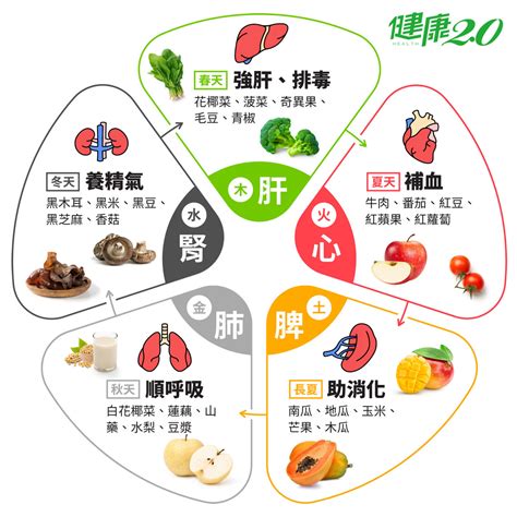 屬水的食物|五行五色挑食法，吃出抗病力｜健康2.